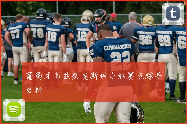 葡萄牙乌兹别克斯坦小组赛点球手分析