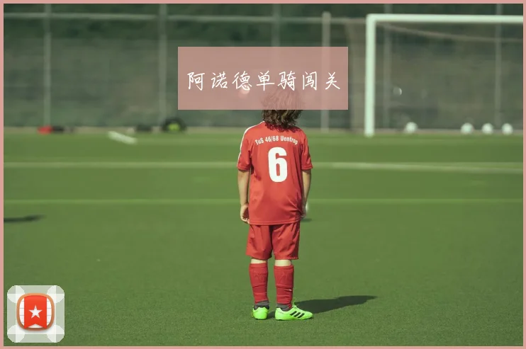阿诺德单骑闯关