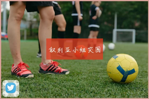 叙利亚小组突围