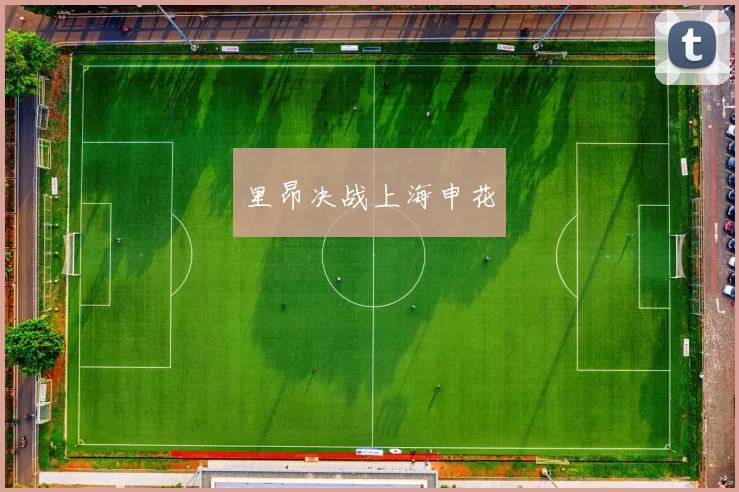 里昂决战上海申花