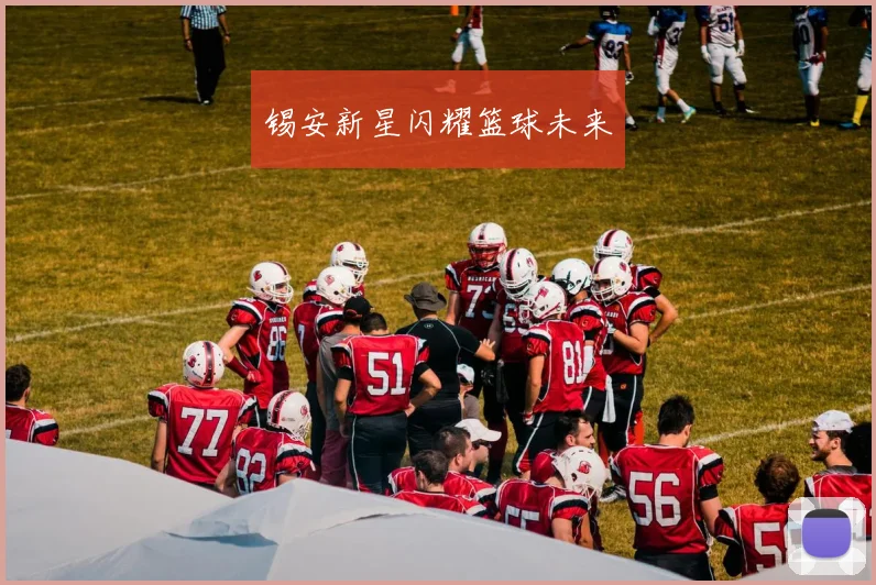 锡安新星闪耀篮球未来