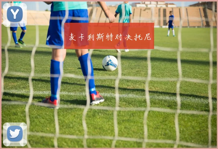 麦卡利斯特对决托尼