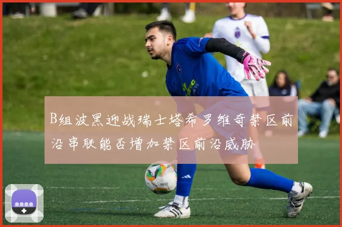 B组波黑迎战瑞士塔希罗维奇禁区前沿串联能否增加禁区前沿威胁