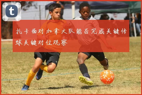 扎卡面对加拿大队能否完成关键传球关键对位观察
