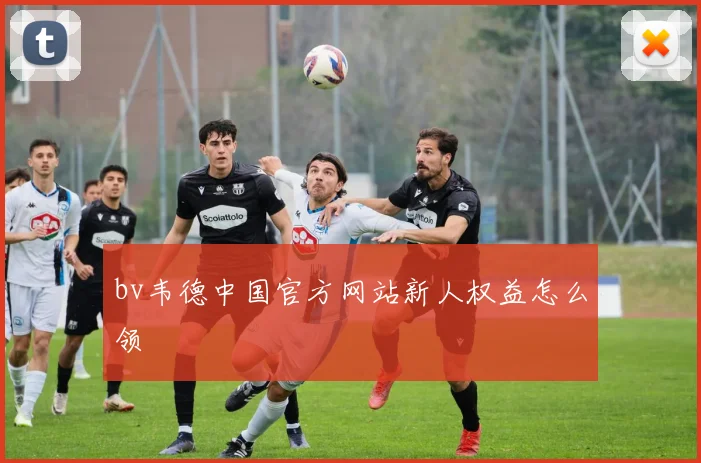 bv韦德中国官方网站新人权益怎么领