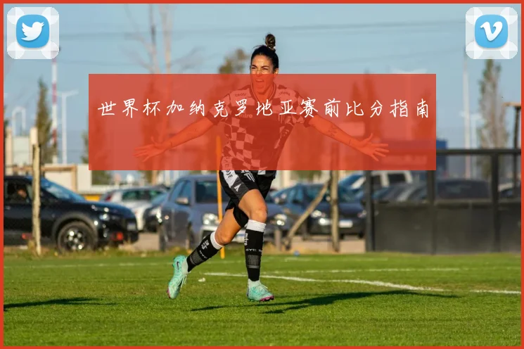 世界杯加纳克罗地亚赛前比分指南