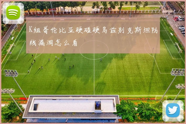 K组哥伦比亚硬碰硬乌兹别克斯坦防线漏洞怎么看