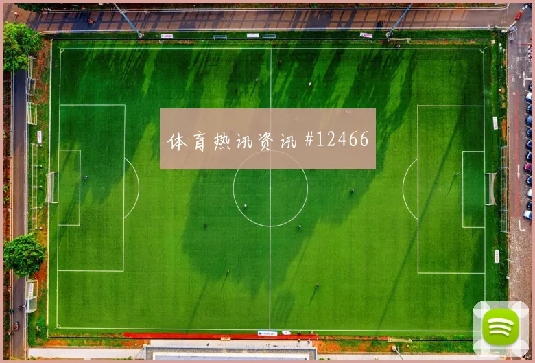 本纳赛尔面对奥地利后腰保护是否到位战术价值观察
